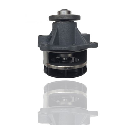 TCD4.1 TCD6.1 04517465 POMPE À EAU