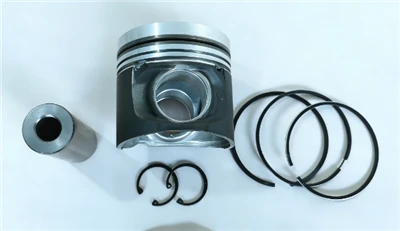Kit de pistons 04284390 pour Deutz BF4M2012